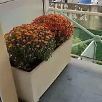 Appt Centre 