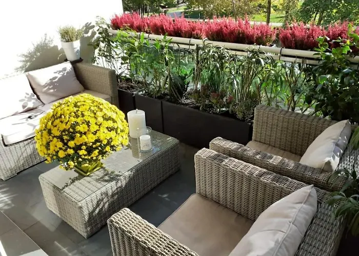 Apartment Appt Centre 
