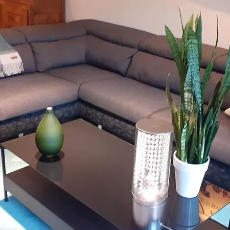 Apartment Appt Centre 